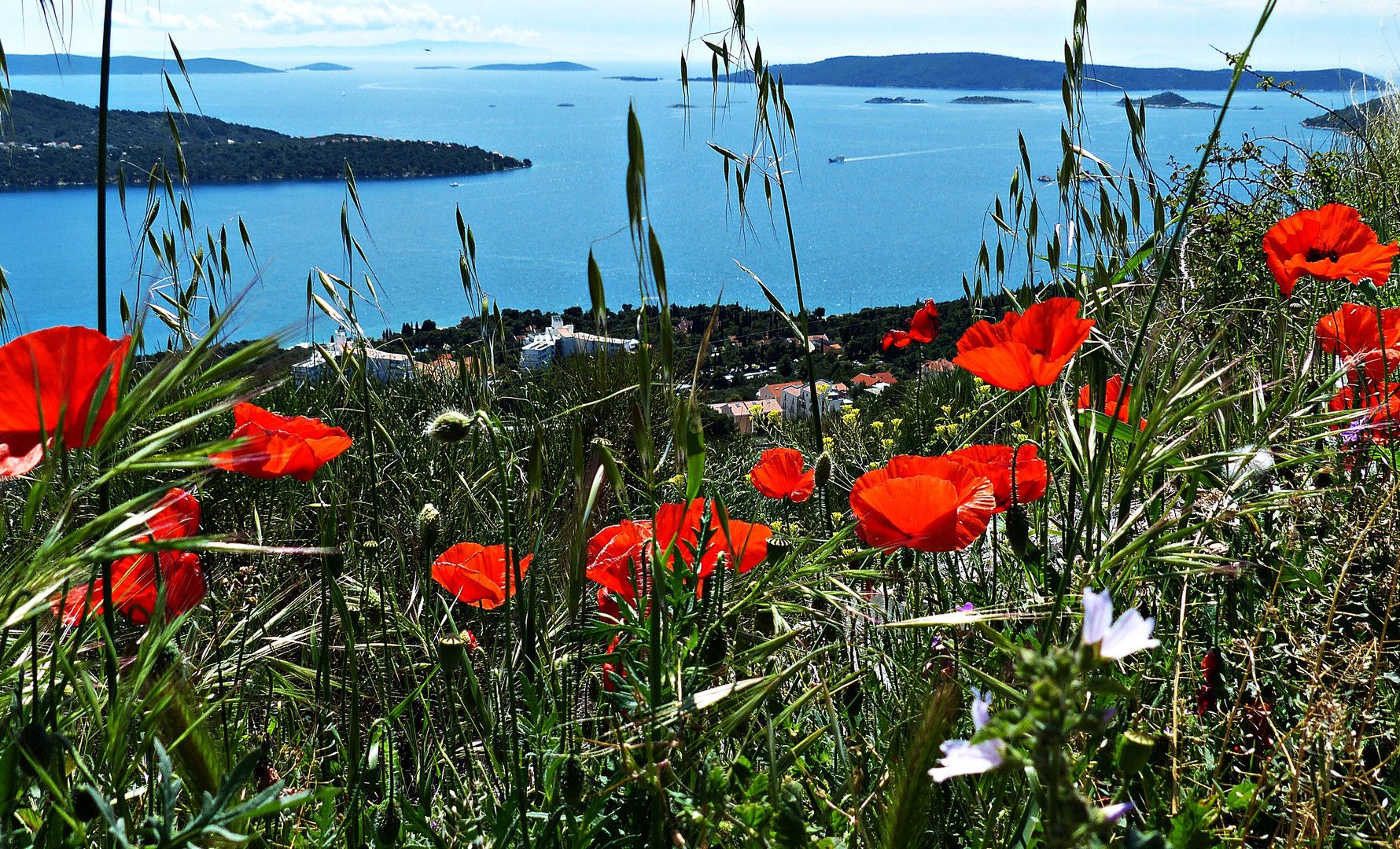 Donnerstag mit Durchblick