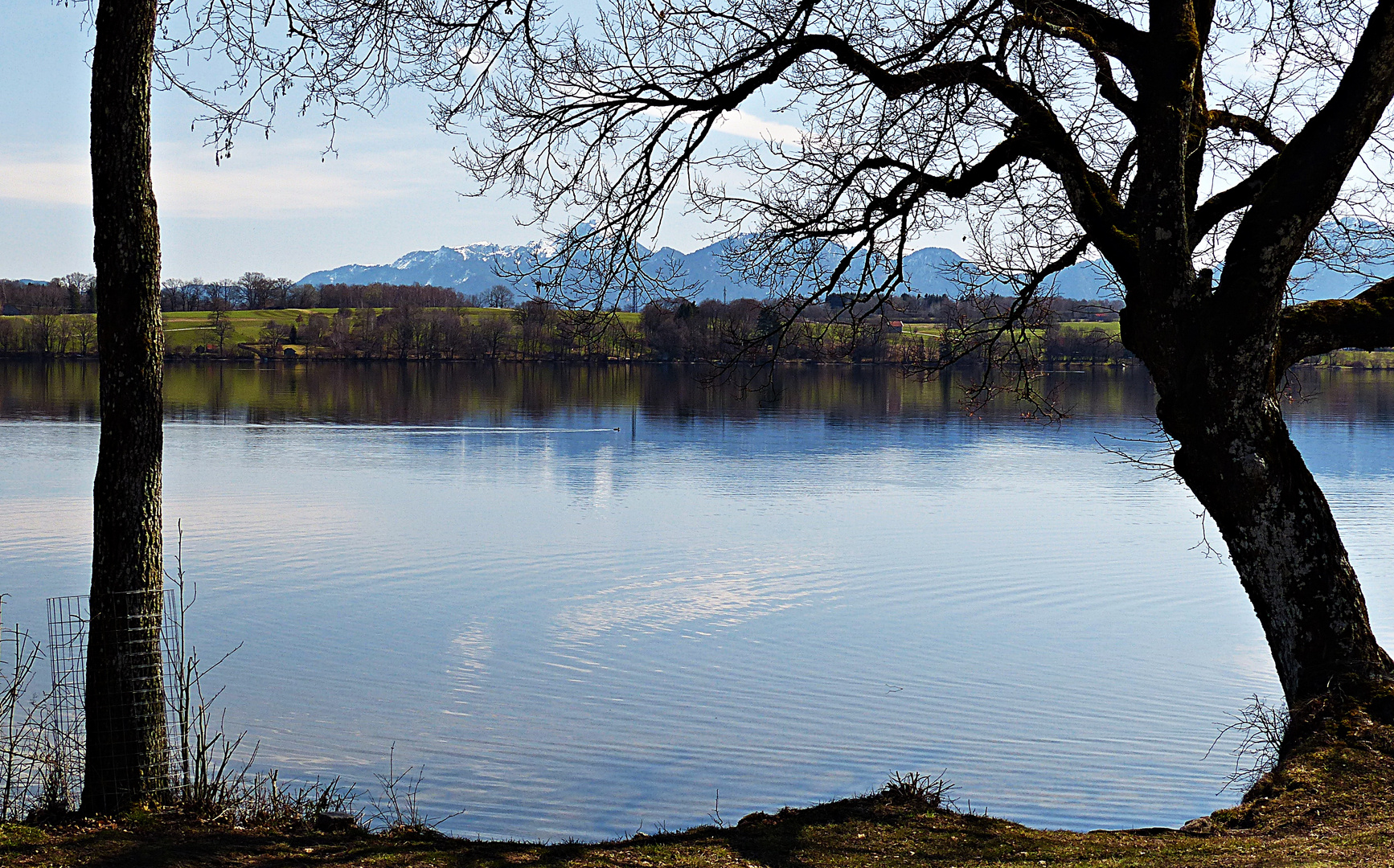 Donnerstag mit Durchblick