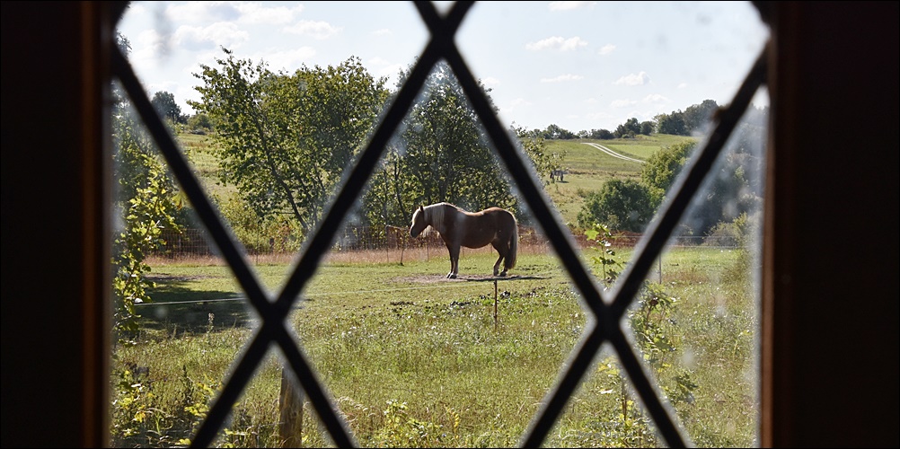 " Donnerstag mit Durchblick "