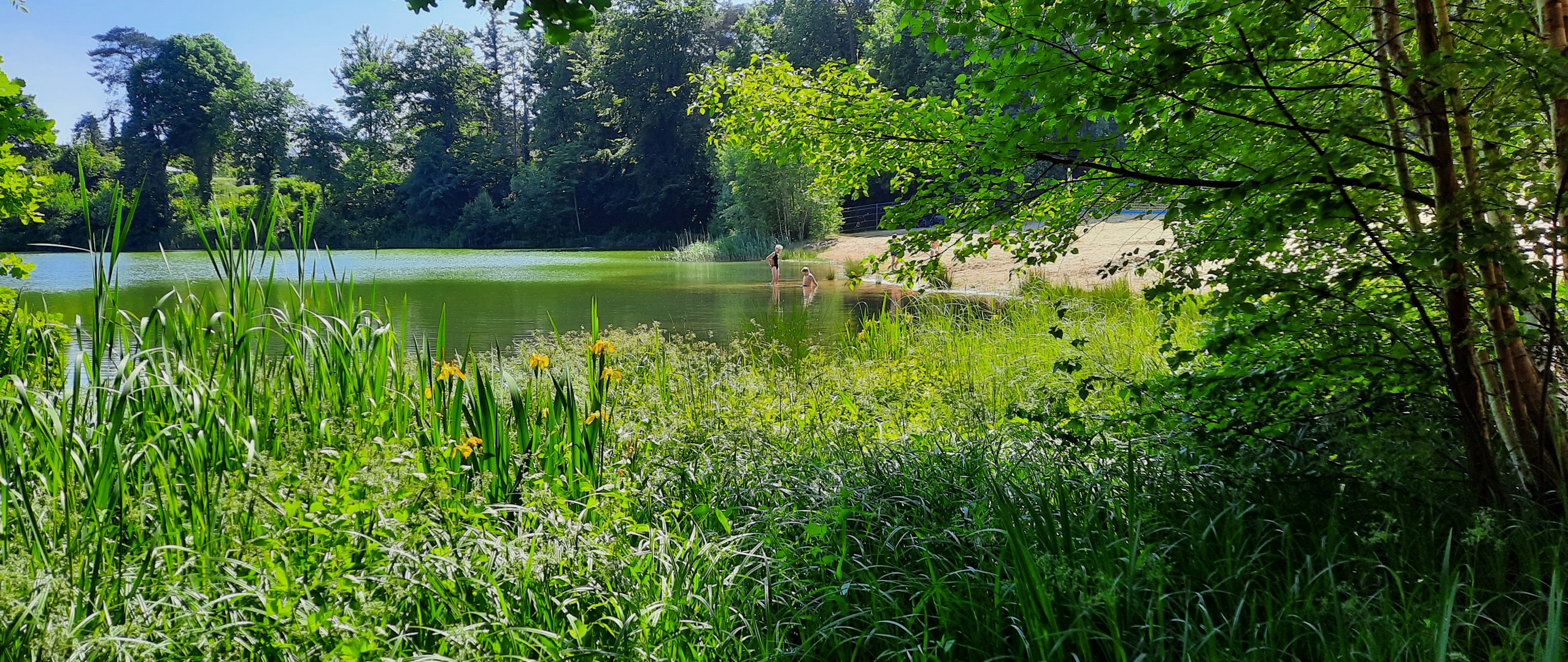 Donnerstag mit Durchblick 