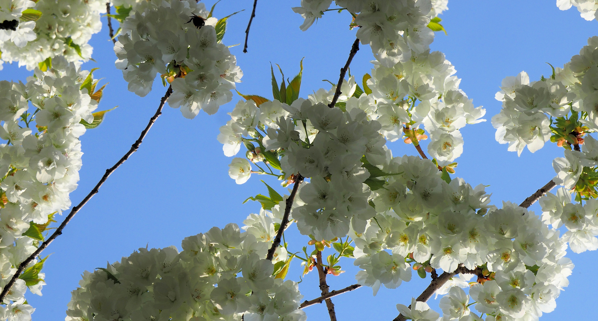 Donnerstag mit Durchblick… 