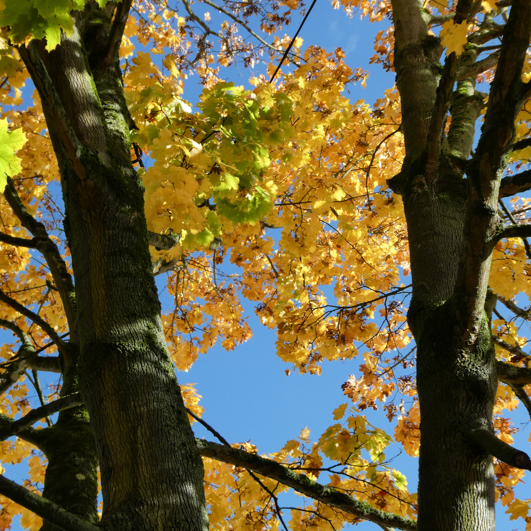 Donnerstag mit Durchblick