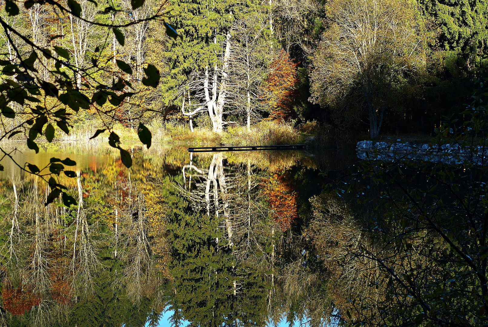 Donnerstag mit Durchblick