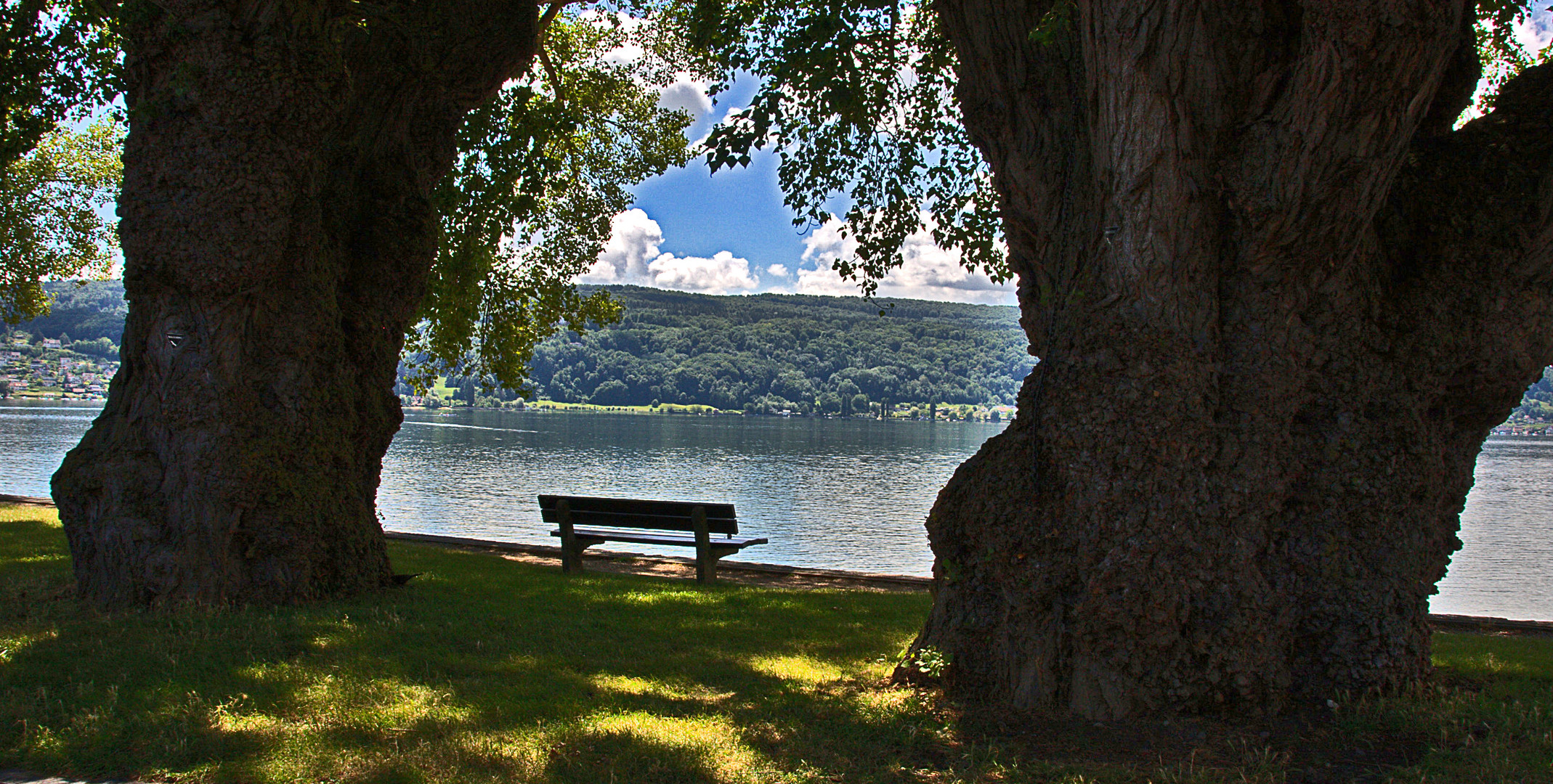 Donnerstag mit Durchblick...