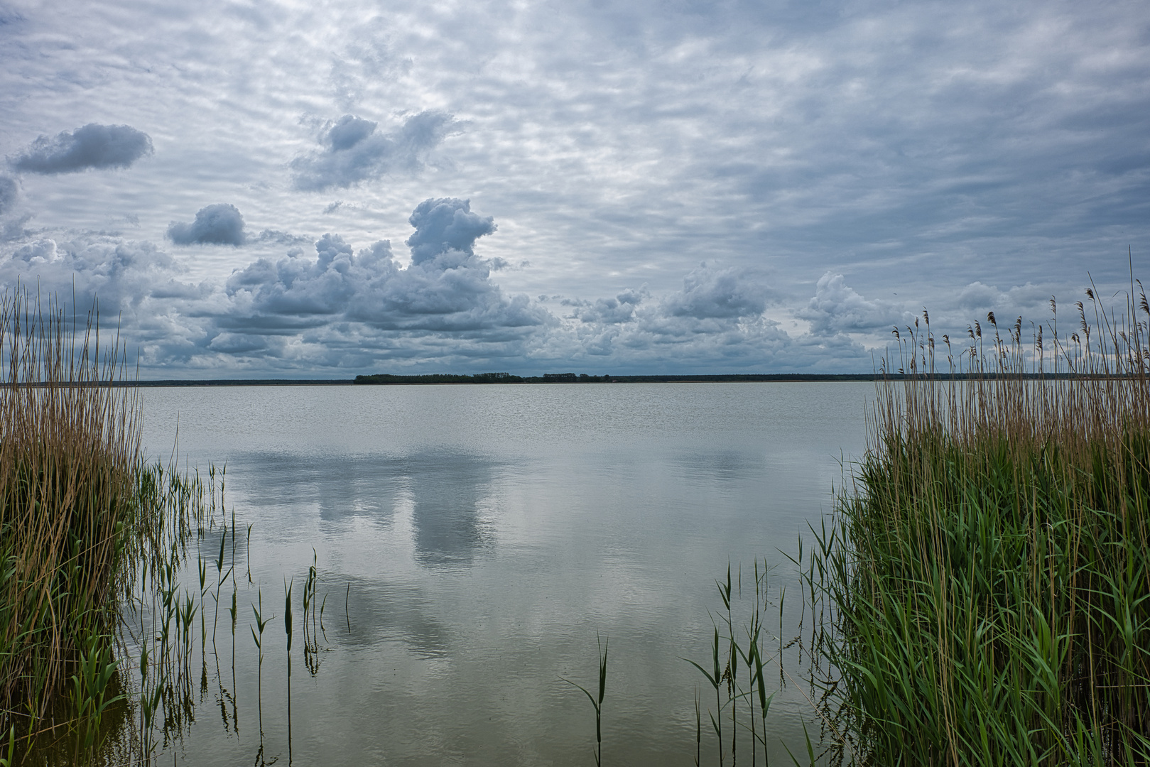 Donnerstag mit Durchblick