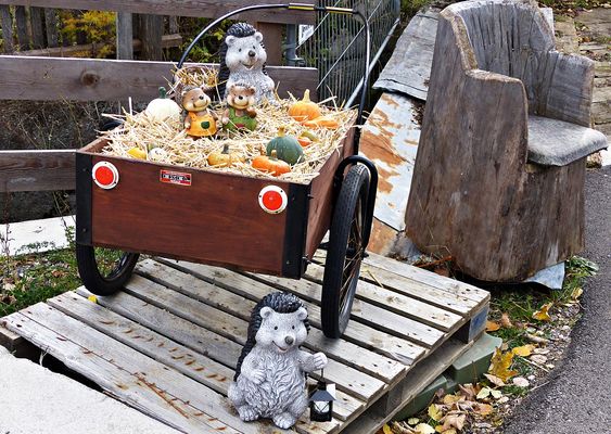 Donnerstag mit Durchblick