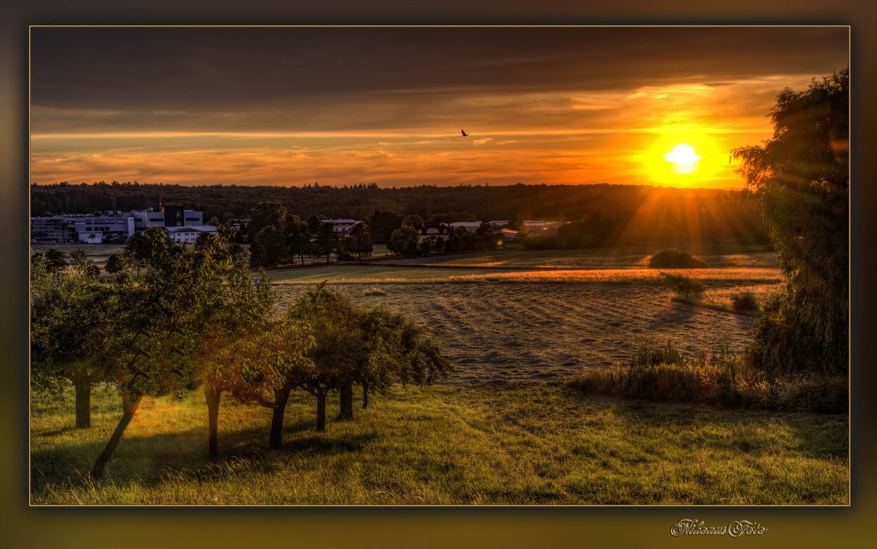 Donnerstag mit Durchblick am 11.08.2022