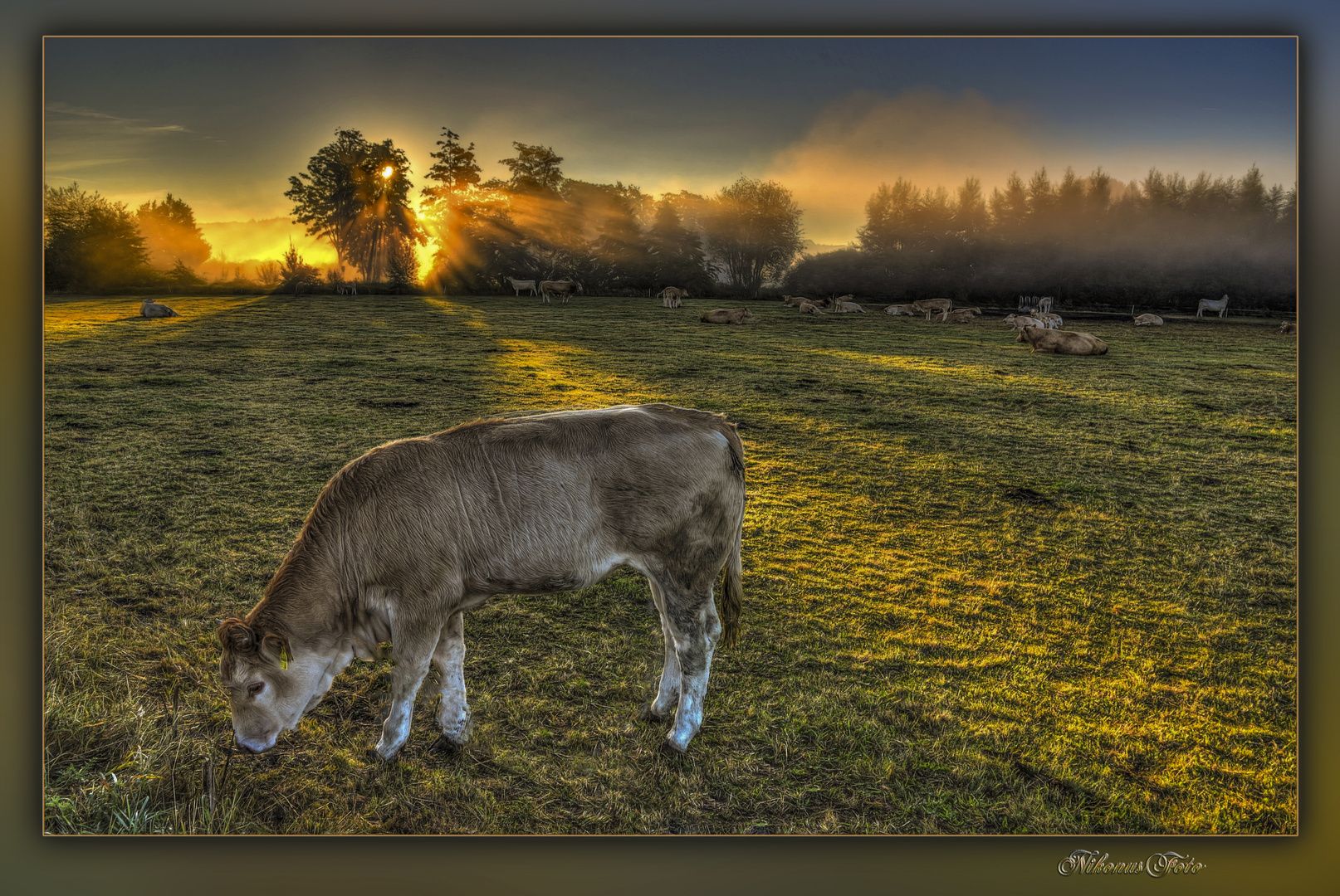 Donnerstag mit Durchblick am 14.07.2022