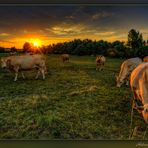  Donnerstag mit Durchblick am 16.06.2022