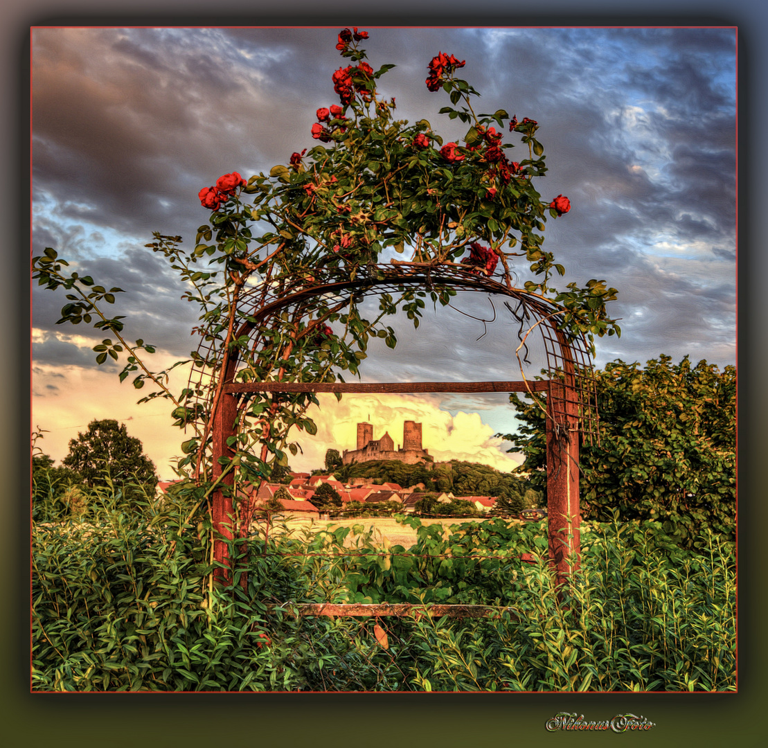 Donnerstag mit Durchblick am 20.07.2023