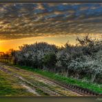 Donnerstag mit Durchblick am20.04.2023