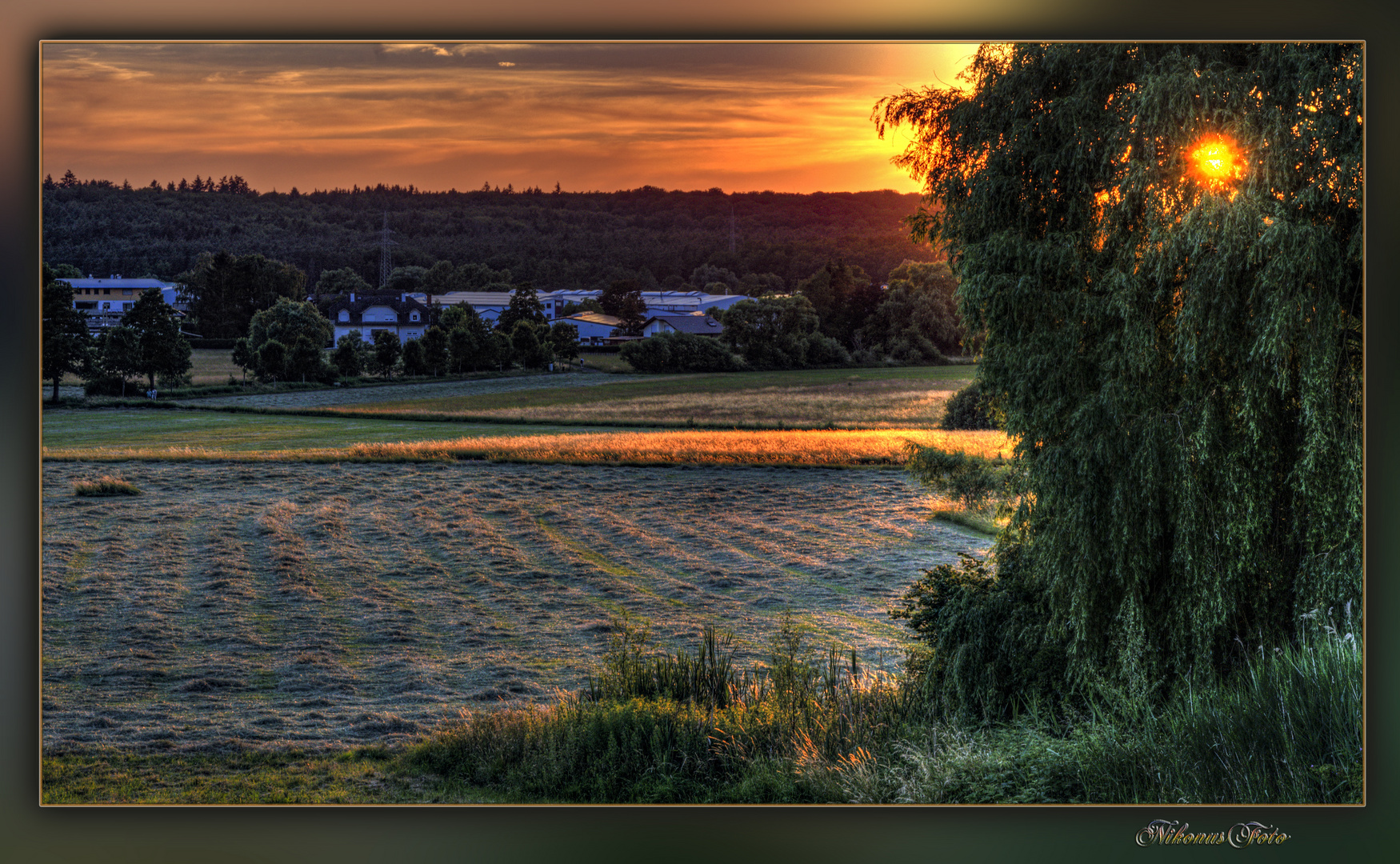  Donnerstag mit Durchblick am23.06.2022