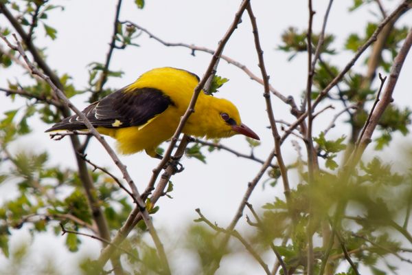Donnerstag mit Durchblick Archivaufnahme