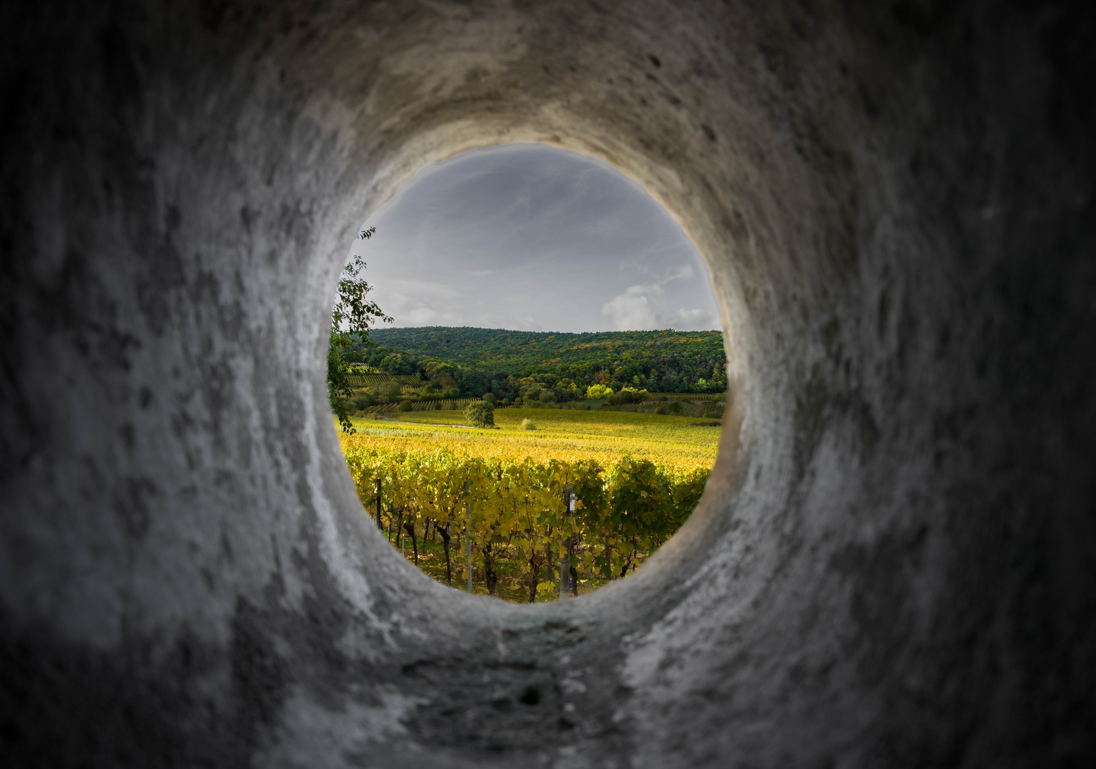 Donnerstag mit Durchblick