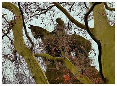 Donnerstag mit Durchblick- Bismarck-Denkmal