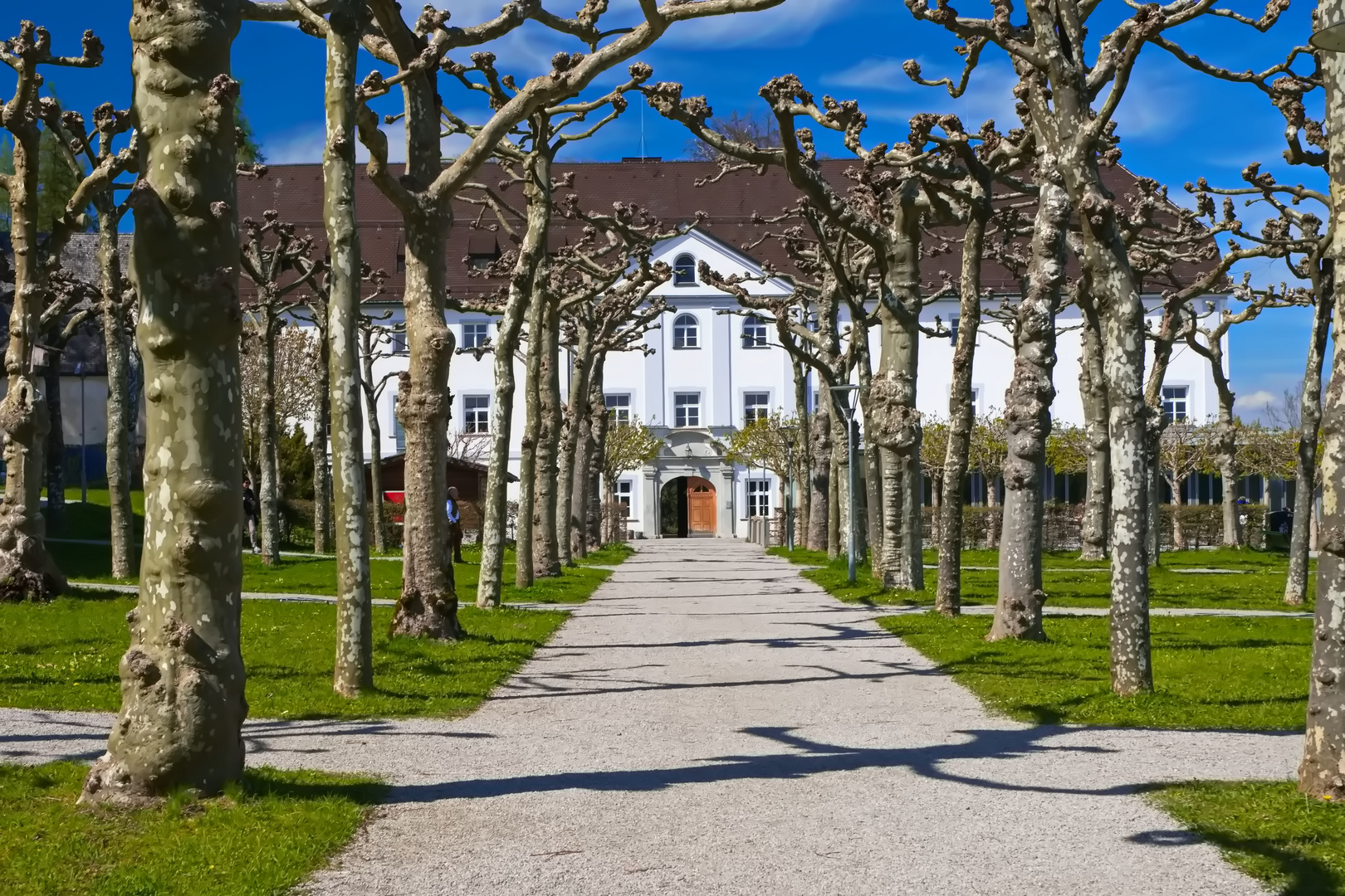 Donnerstag mit Durchblick - Blick durch eine Allee auf der Herreninsel am Chiemsee