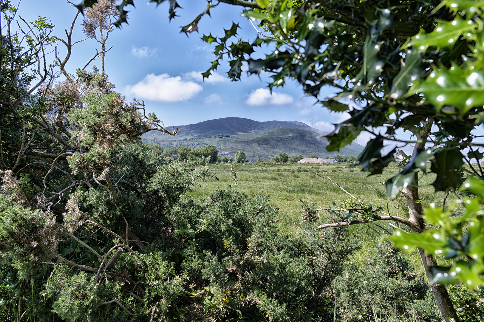 Donnerstag mit Durchblick - Blick durchs grüne Fenster 