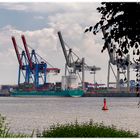 Donnerstag mit Durchblick - Blick vom Elbstrand nach Waltershof zur Judith