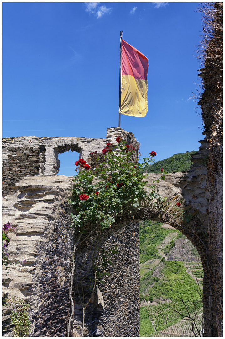 Donnerstag mit Durchblick - Burgruine Fürst Metternich