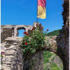 Donnerstag mit Durchblick - Burgruine Fürst Metternich