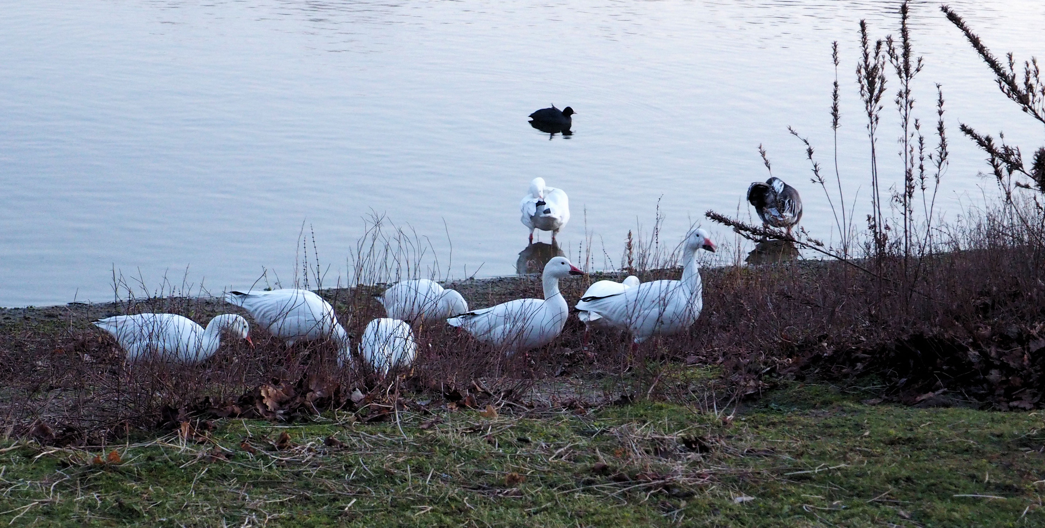 Donnerstag mit Durchblick… 