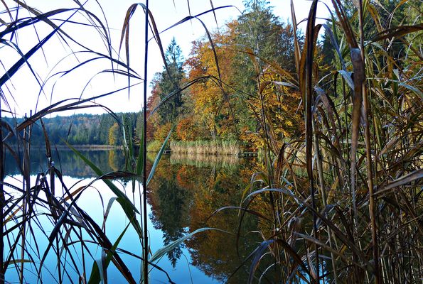 Donnerstag mit Durchblick