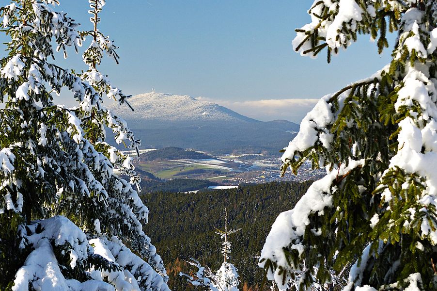 Donnerstag mit Durchblick