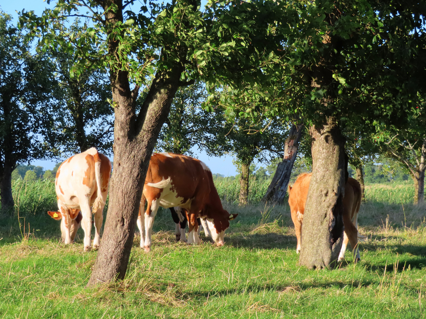 Donnerstag mit Durchblick 