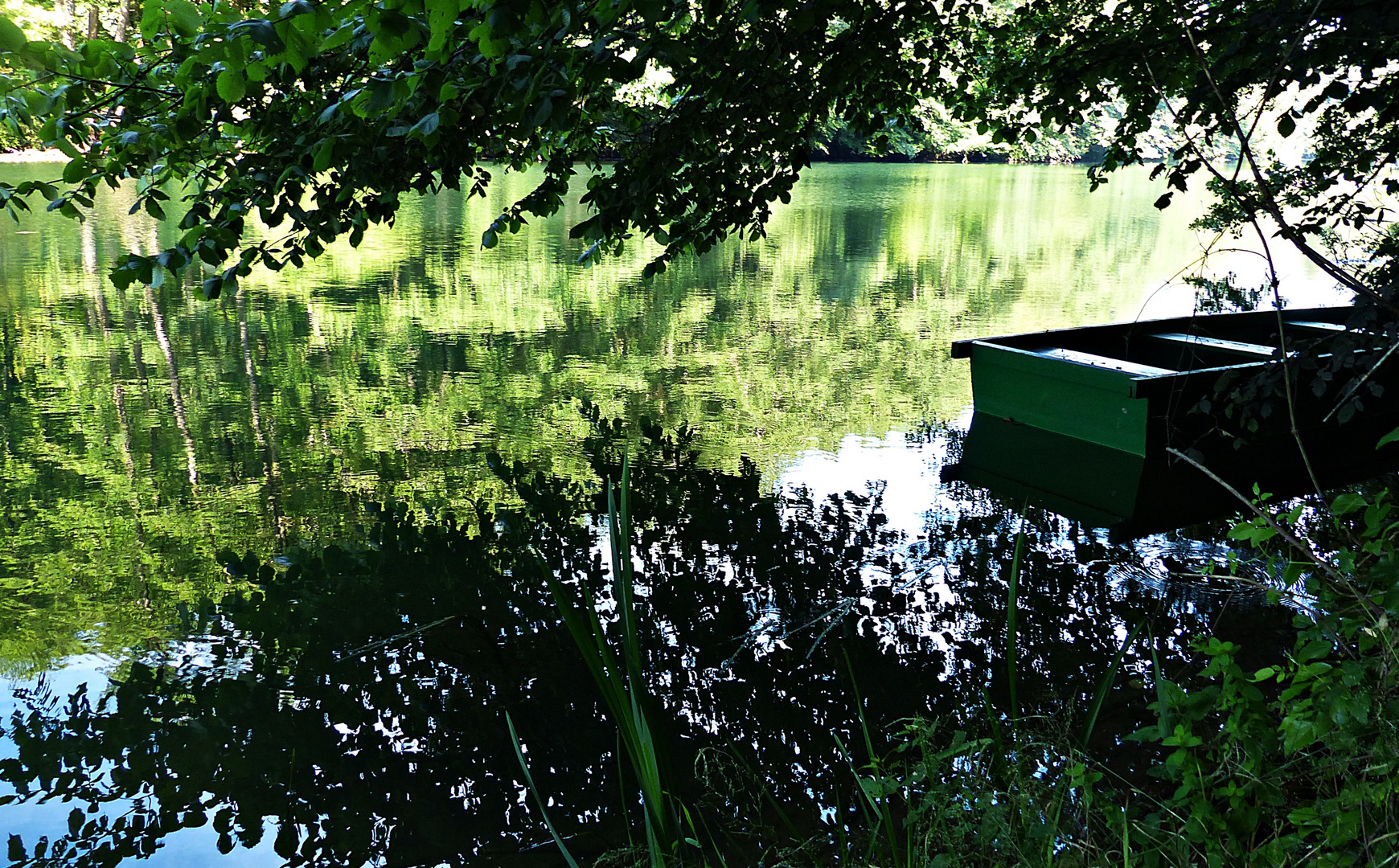 Donnerstag mit Durchblick