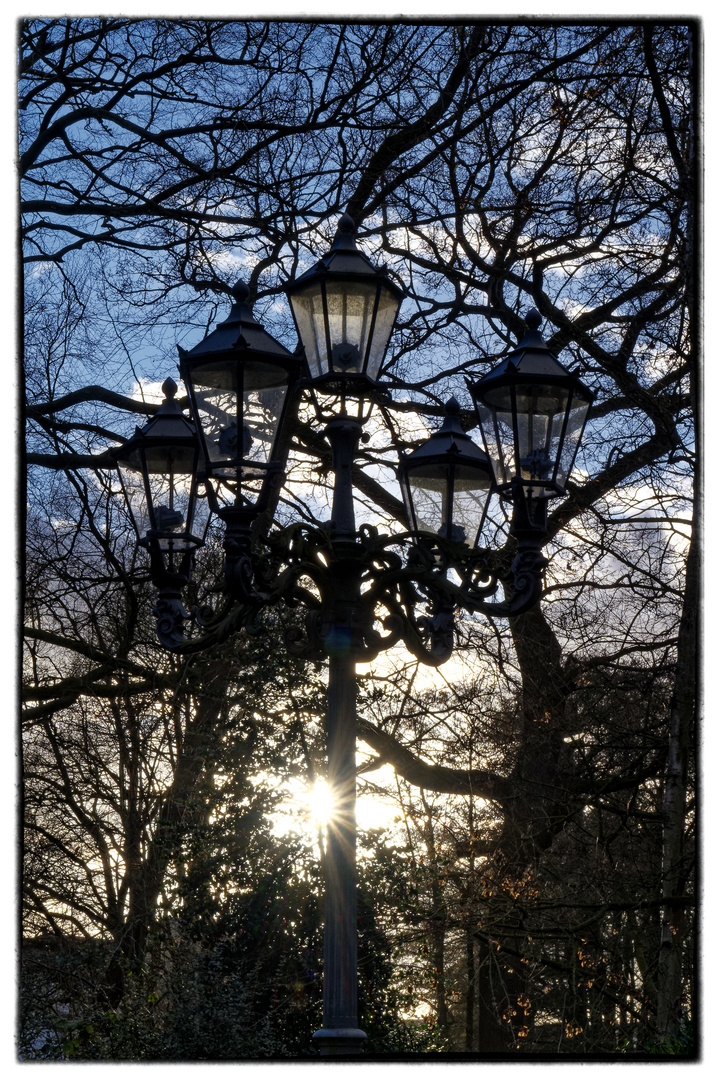 Donnerstag mit Durchblick - da blinzelt die Sonne durch die Bäume