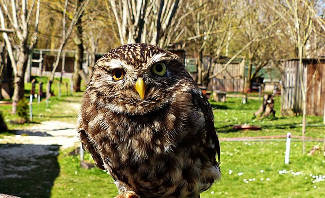 Donnerstag mit Durchblick