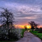 Donnerstag mit Durchblick: Der Pfützenweg ...