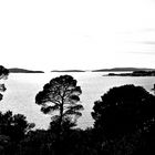 Donnerstag mit Durchblick, Donnerstag-Wasser und Schwarzweißer Freitag in einem