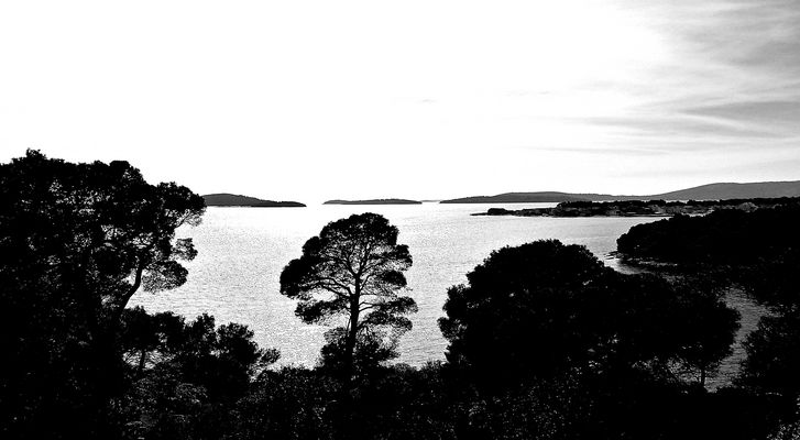 Donnerstag mit Durchblick, Donnerstag-Wasser und Schwarzweißer Freitag in einem