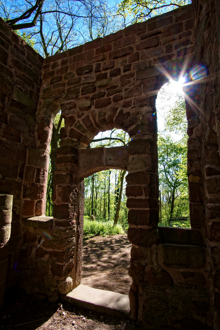 Donnerstag mit Durchblick - Durch- und Ausblick bei der Burgruine Rusteberg