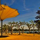 Donnerstag mit Durchblick - Durch- und Weitblick Richtung Bodensee in Konstanz