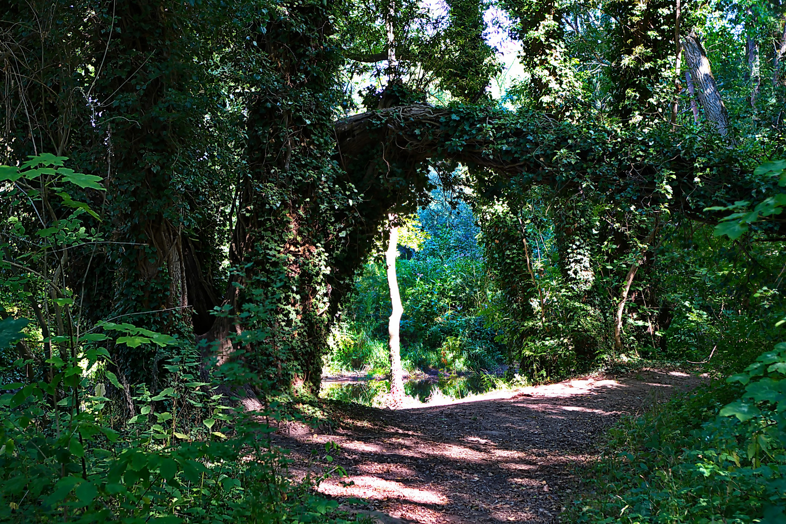 Donnerstag mit Durchblick - Durchblick im Park von Rittergut Besenhausen