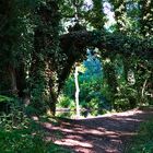 Donnerstag mit Durchblick - Durchblick im Park von Rittergut Besenhausen