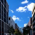 Donnerstag mit Durchblick - Durchblick in der Hamburger Hafencity ...