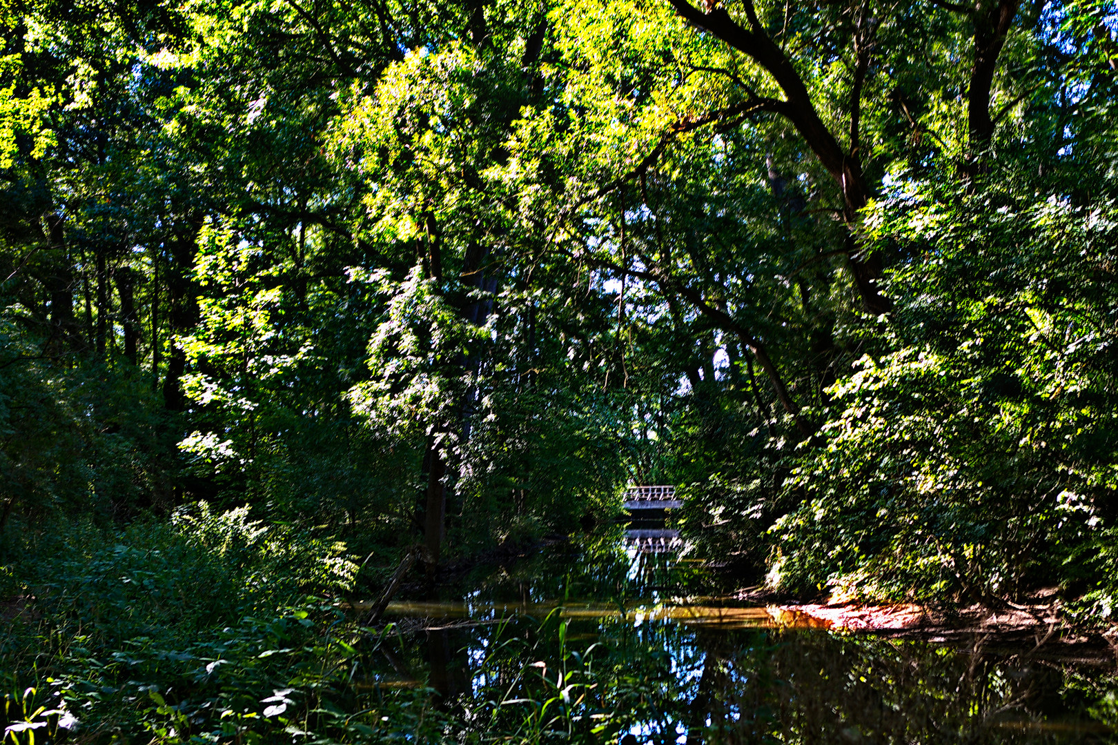 Donnerstag mit Durchblick - Durchblick über die Leine im Waldpark vom Rittergut Besenhausen