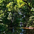 Donnerstag mit Durchblick - Durchblick über die Leine im Waldpark vom Rittergut Besenhausen