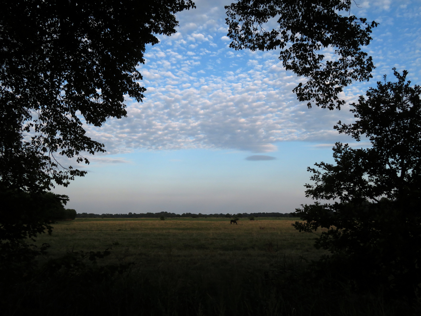 Donnerstag mit Durchblick 