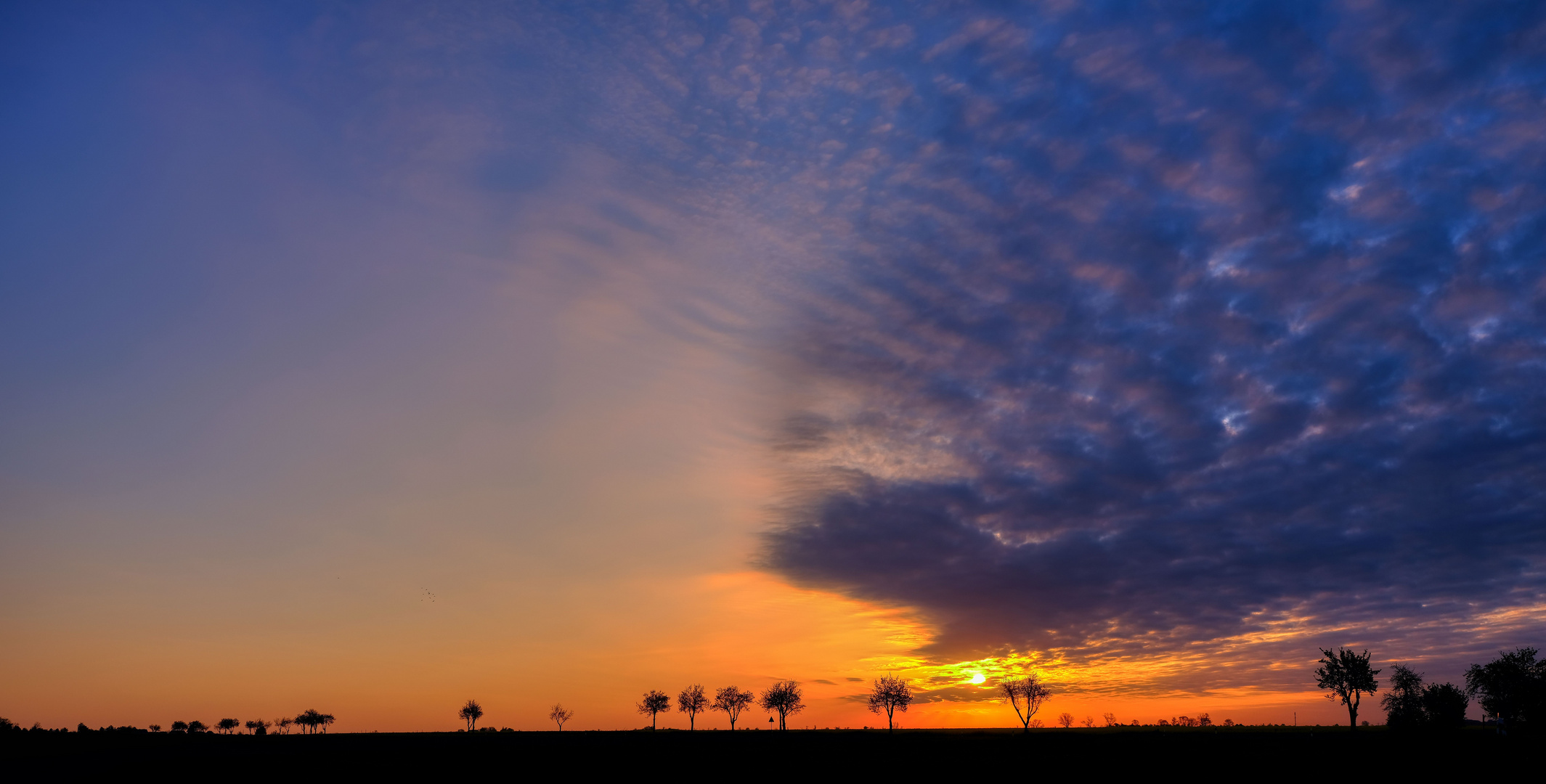 Donnerstag mit Durchblick - einfach ein Sonnenaufgang