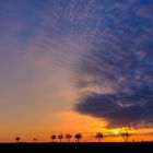 Donnerstag mit Durchblick - einfach ein Sonnenaufgang