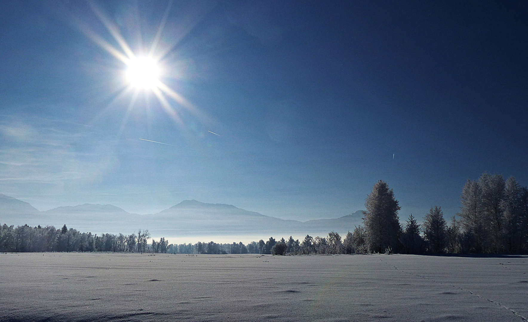 Donnerstag mit Durchblick