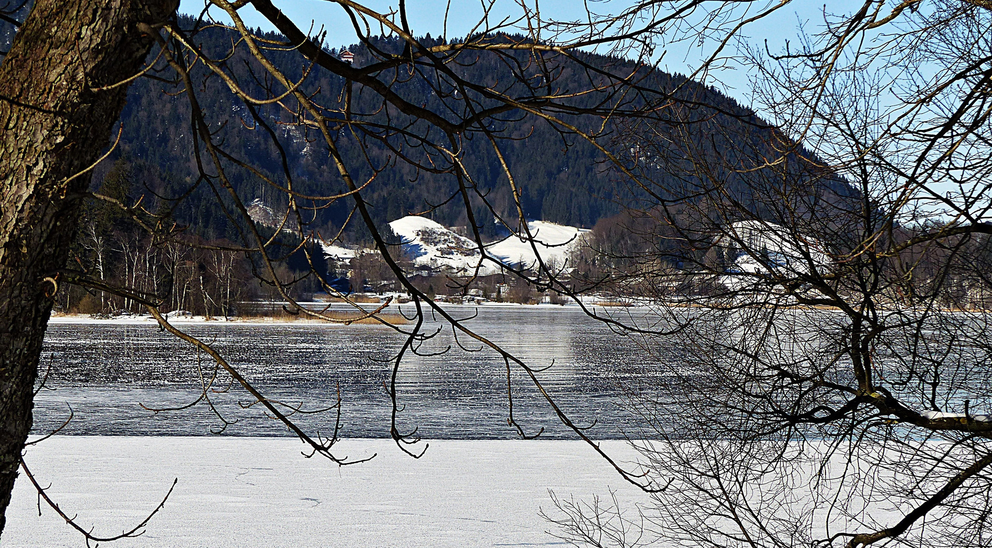 Donnerstag mit Durchblick