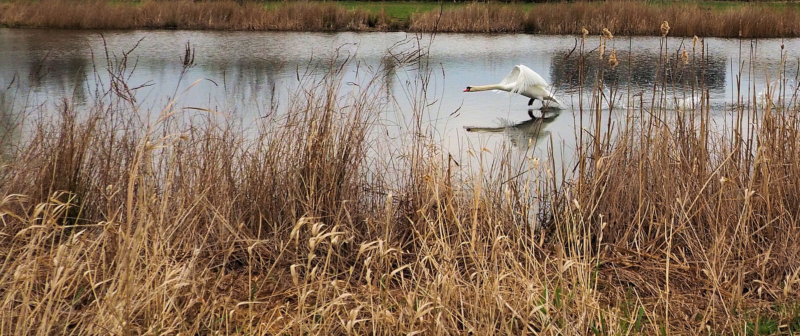 Donnerstag mit Durchblick…