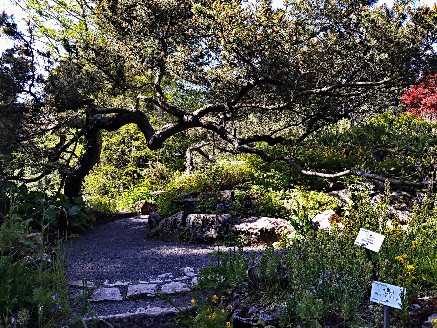 Donnerstag mit Durchblick im Botanischen Garten in Göttingen