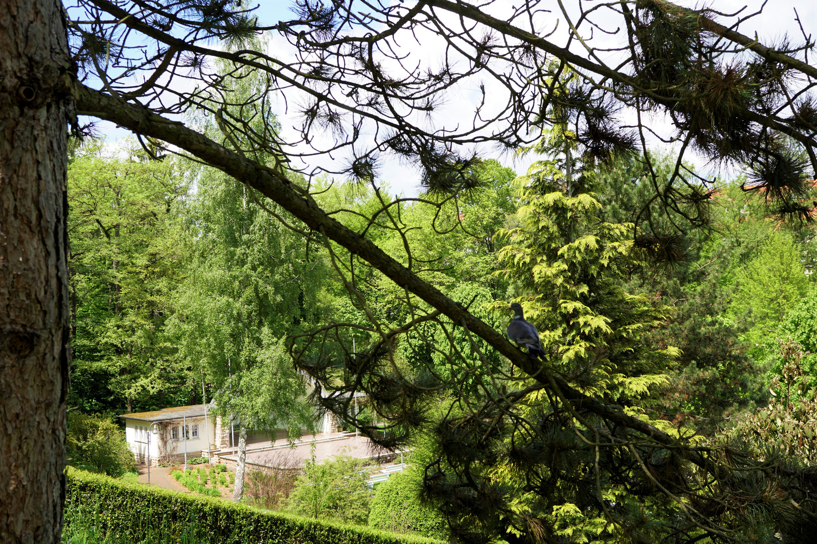 Donnerstag mit Durchblick im Heinrich-Heine-Park in Heiligenstadt