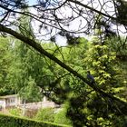 Donnerstag mit Durchblick im Heinrich-Heine-Park in Heiligenstadt